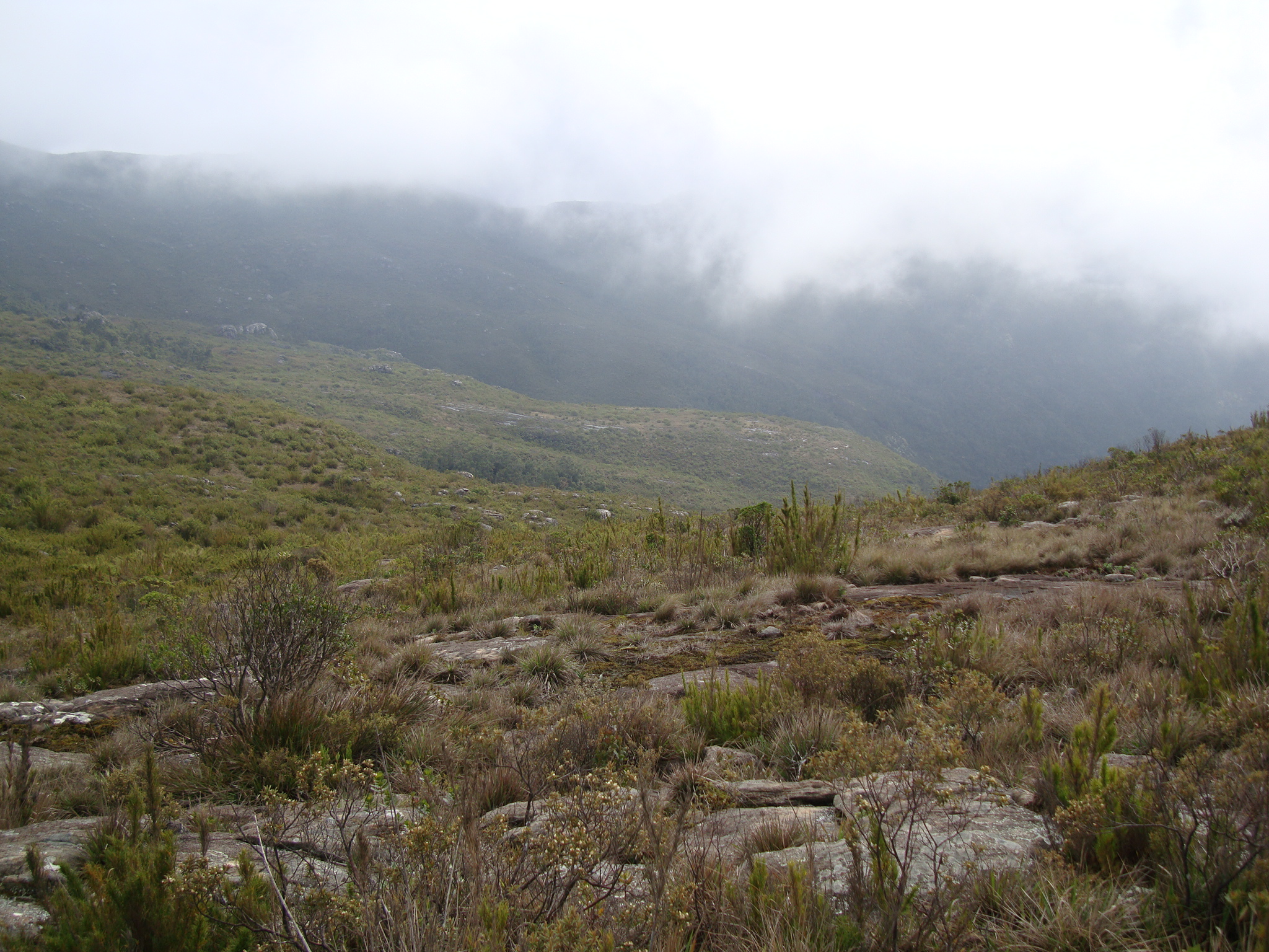 O que é Altitude? Picos Mais Altos do Brasil. Picos Mais Altos do Planeta.  Pico da Neblina. Pico 31 de Março. Pico …