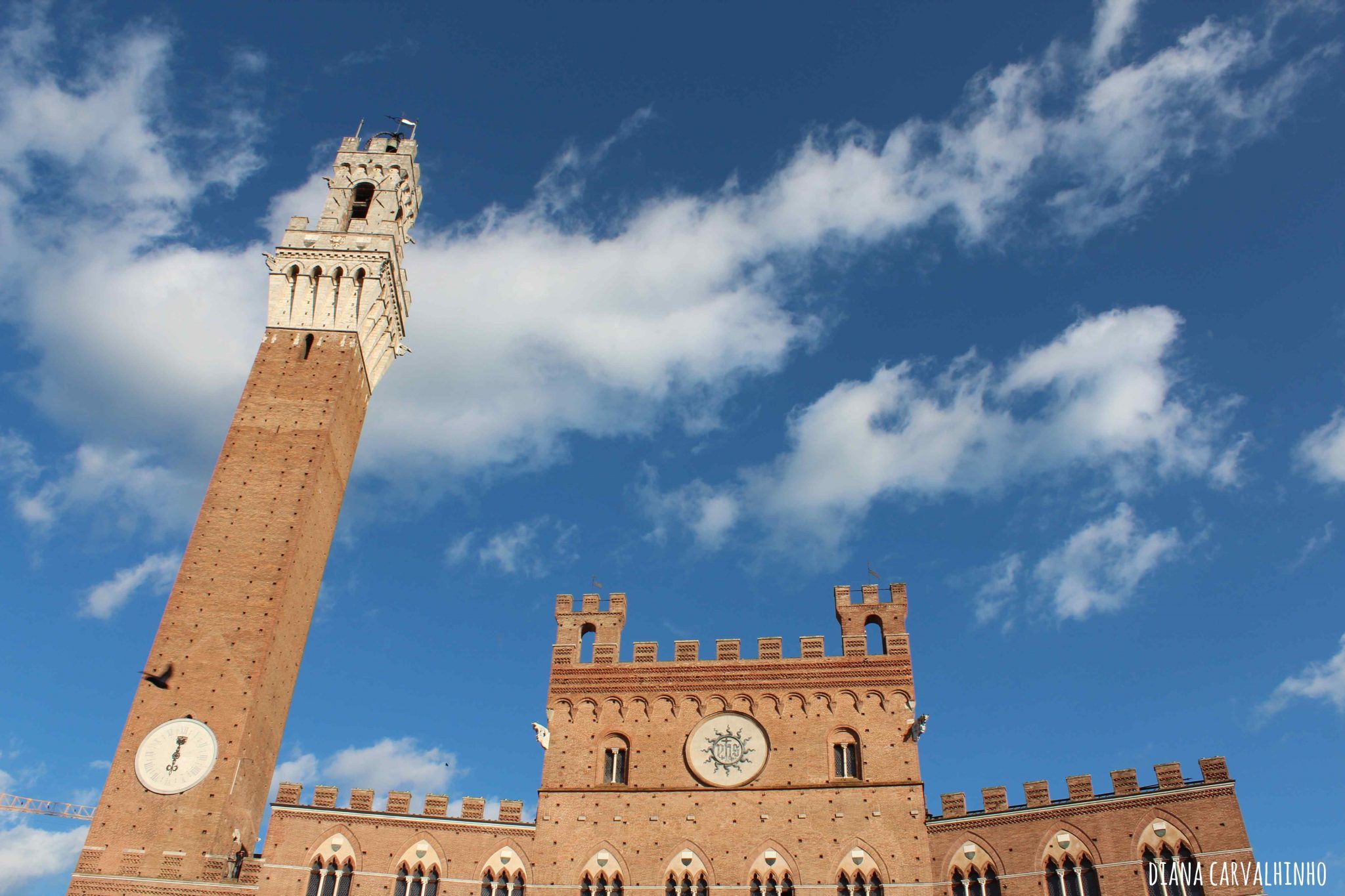 Siena - Palazzo Pubblico e Torre