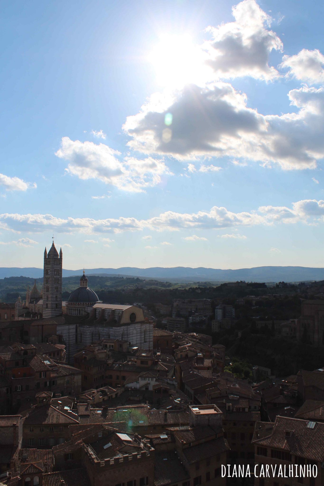 Siena - Duomo Visto da Torre