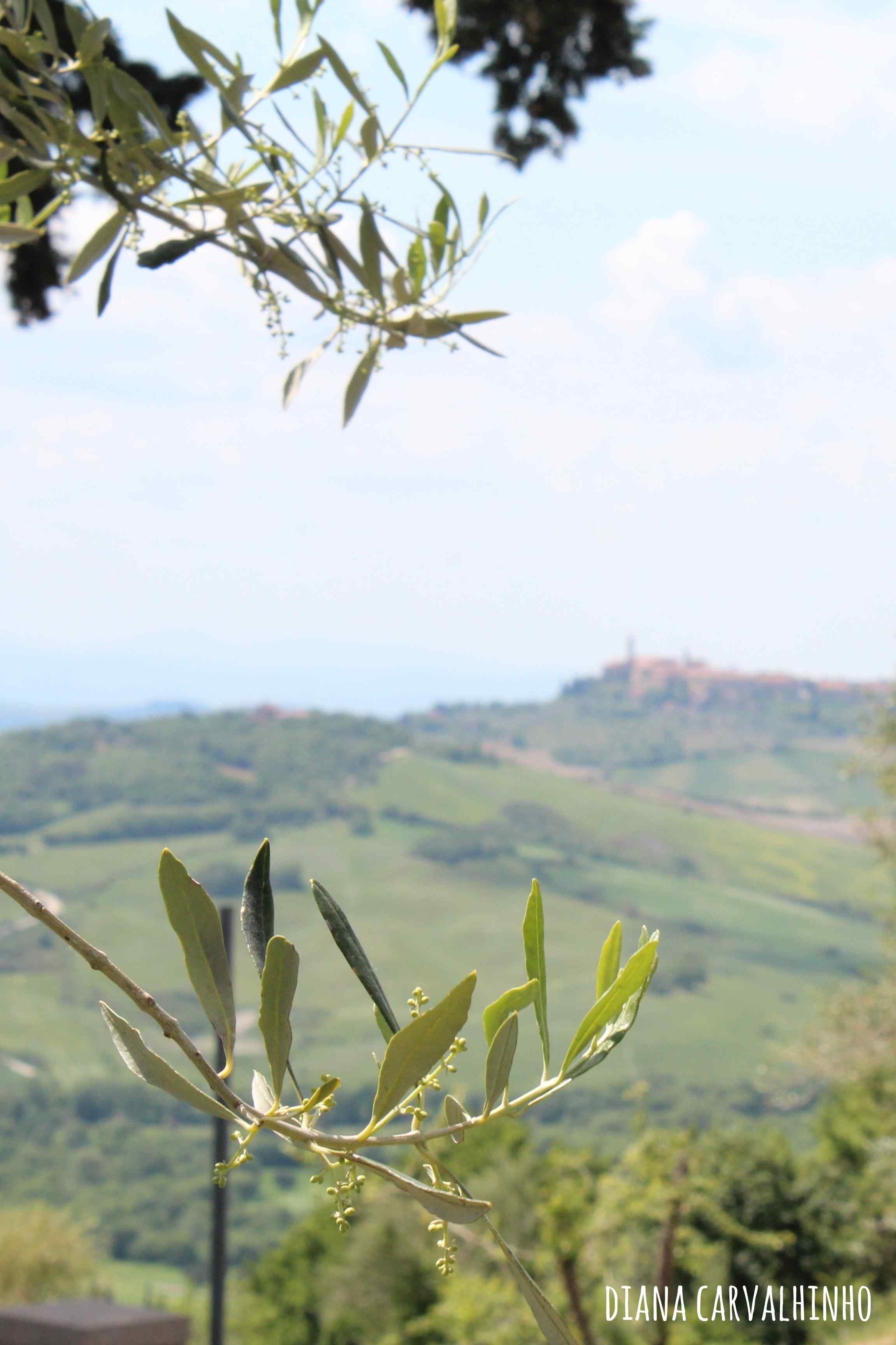 Pienza