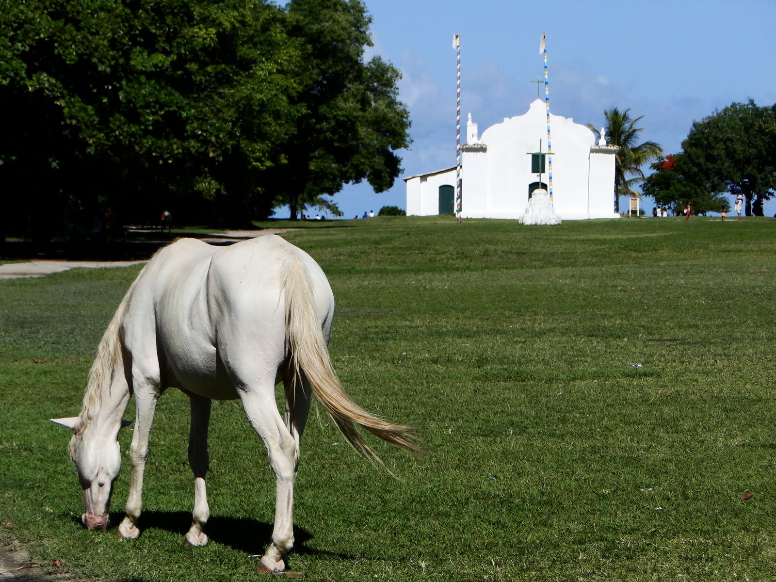 Benvindo (de novo) a Trancoso!