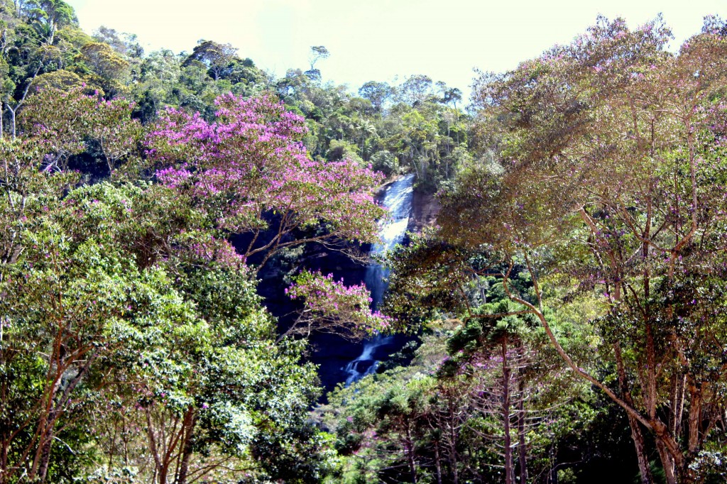 A Cachoeira do Country Club, no Parque São Lourenço