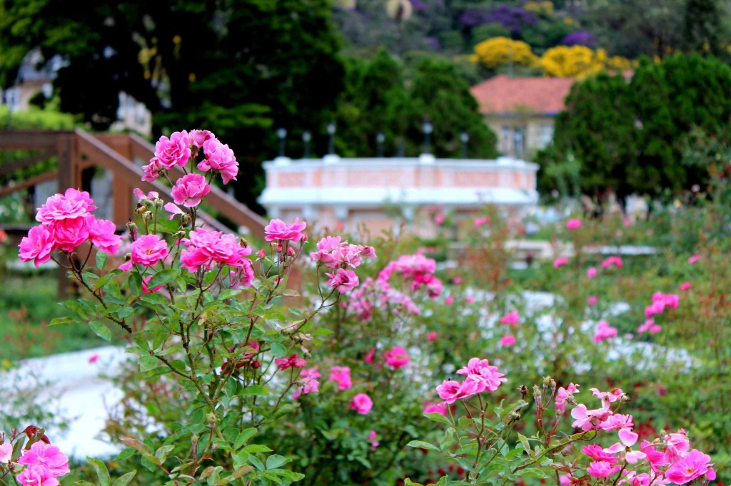 Santa Teresa