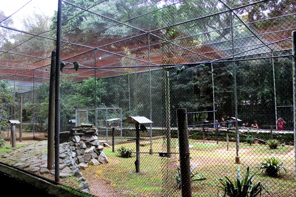 O Museu de Biologia Professor Mello Leitão - Rotas Capixabas