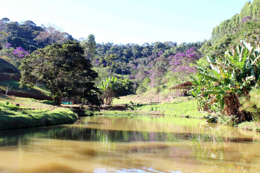 Pousada Vita Verde