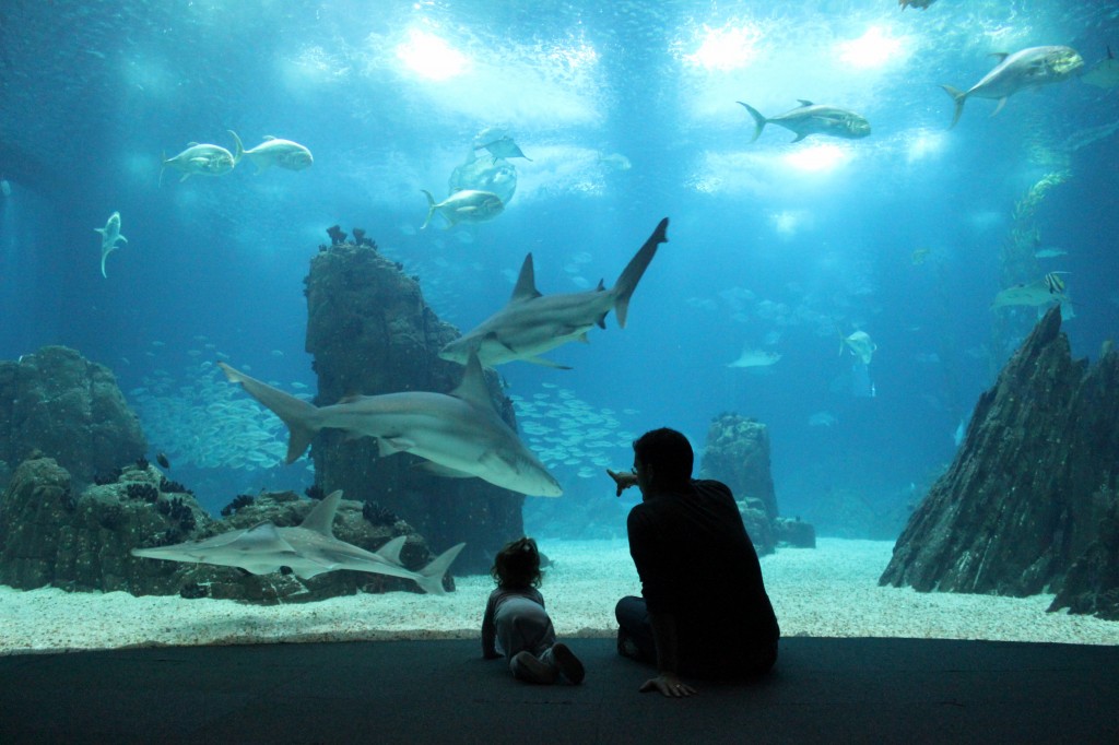 Eu e Maria no Oceanário de Lisboa