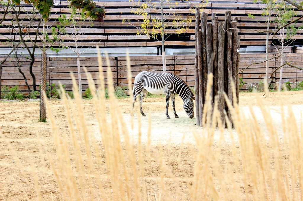 zoo parc de paris