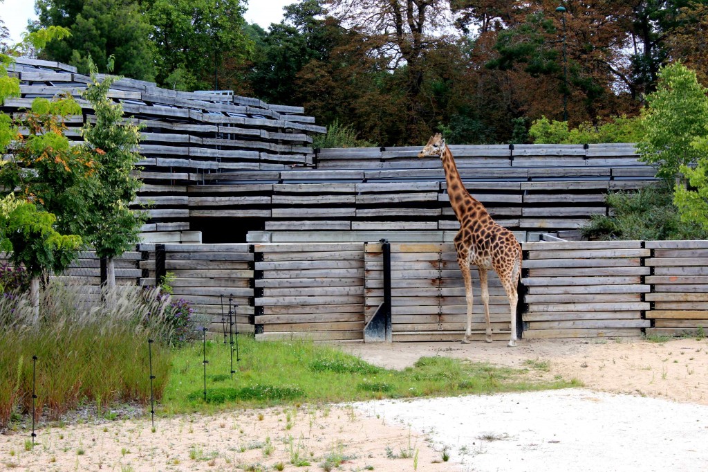 zoo parc de paris