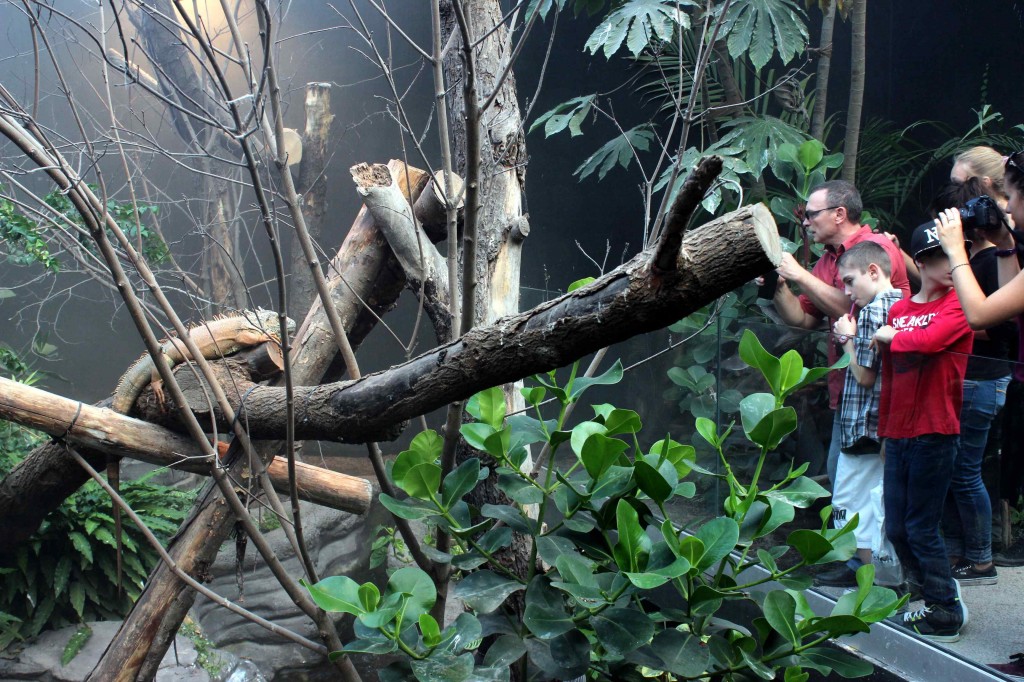 zoo parc de paris