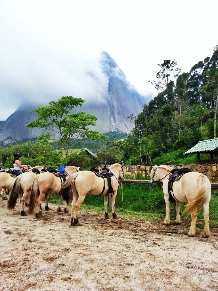 Cavalgada ecológica