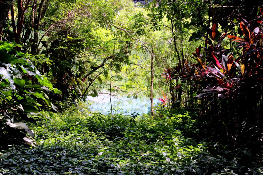 Jardim Botânico Inhotim