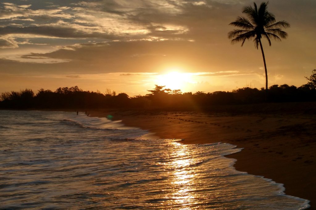 Praia do Sauê